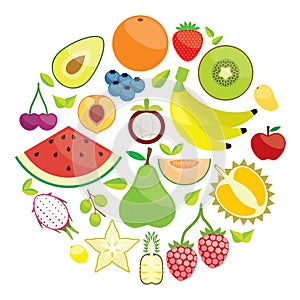 Colorful Fruit Circle illustration