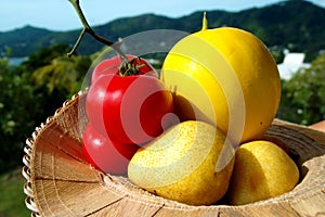 Colorful fruits assortment