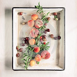 Colorful fruits and berries fresh from the market, decorated in a vintage baking tray, free space for your text