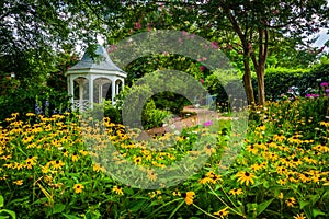 Colorful garden and gazebo in a park in Alexandria, Virginia. photo