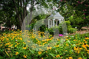 Colorful garden and gazebo in a park in Alexandria, Virginia. photo