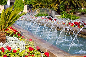 Colorful garden of the Glorieta in Murcia photo