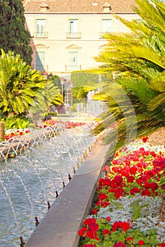 Colorful garden of the Glorieta in Murcia photo