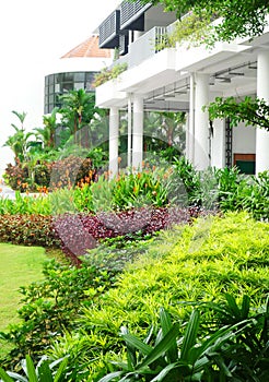 Colorful garden landscaped with office building