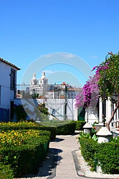 Colorful garden in Lisboa, Portugal