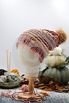 Colorful Garterstitch Wool Handknit winter hat on mannequin head