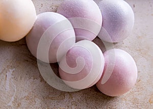 colorful gecko eggs on the wall