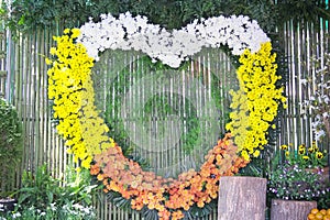 Colorful gerbera  barberton daisy flowers in heart shape blooming decorative on green bamboo wall for valentine day or wedding