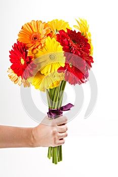 Colorful gerbera flowers bouquet
