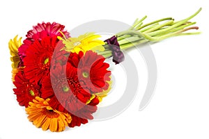 Colorful gerbera flowers bouquet