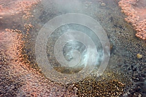 Colorful geyser close-up