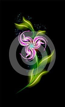 Colorful glowing pink flower. Modern ornamental floral garden in black background. Beautiful trendy illuminated ornaments with