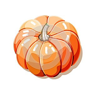 Colorful gold pumpkin. Isolated butternut squash on white background. Modern flat cartoon gourd for poster, web design