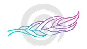Colorful Gradient Bird Feather Vector Design, vector design Generative AI