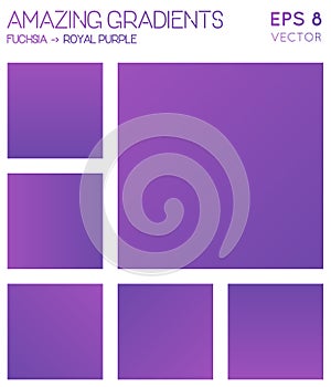 Colorful gradients in fuchsia, royal purple color.