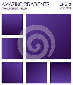 Colorful gradients in royal purple, plum color. photo