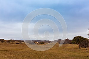 Colorful grassland golden autumn in Bashang grassland