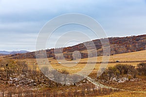 Colorful grassland golden autumn in Bashang grassland