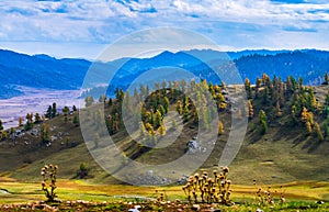 Colorful grassland in XinJiang