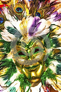 Colorful Green Gold Mask Feathers Mardi Gras New Orleans Louisiana