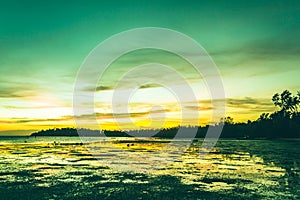 Colorful green, orange peaceful sunset landscape on the beach