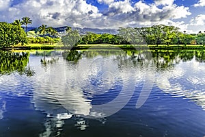 Colorful Green Trees Clouds Ala Wai Canal Reflection Honolulu Hawaii