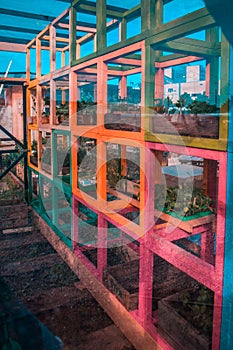 Colorful greenhouse in Latin America photo