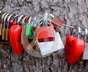 Colorful group of love locks