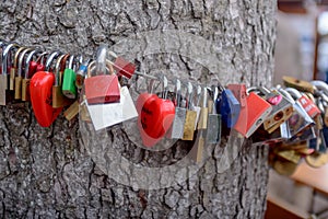 Colorful group of love locks