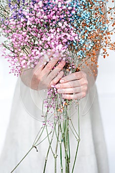 Colorful gypsophila flowers bouquet in woman hands. Photo
