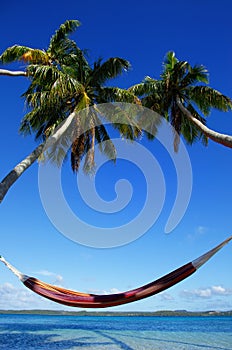 Colorful hammock between palm trees, Ofu island, Vavau group, To