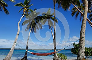 Colorful hammock between palm trees, Ofu island, Vavau group, To