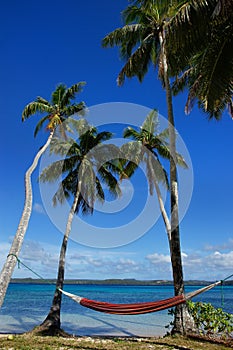 Colorful hammock between palm trees, Ofu island, Vavau group, To photo