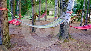 Colorful hammocks for relaxing among the pines in the summer forest in the sunlight. The concept of slow living and