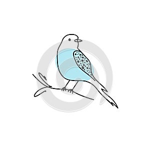 Colorful hand-drawn bird. Doodle