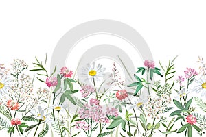 Colorful hand drawn sketch of flowers and grass. Horizontal seamless pattern with plants on a light background.