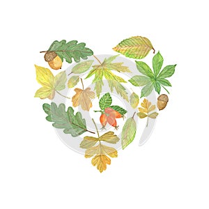 Colorful hand drawn watercolor autumn leaves, dog rose and acorns in the heart shape, seasonal watercolor illustration, symbol of