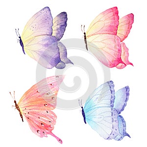 Colorful hand drawn watercolor butterfly collection. Ideal for invitations, cards, wallpapers, printing on fabric.