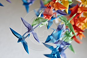 Colorful handmade origami cranes or fantasy birds