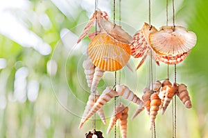 Colorful hanging shells