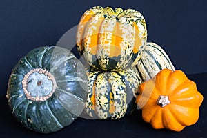 A colorful harvest of Kabocha squash, Carnival squash, Delicata squash, and Gold acorn squash