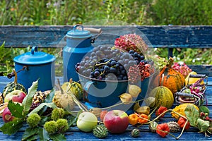 Colorful harvest time in the garden