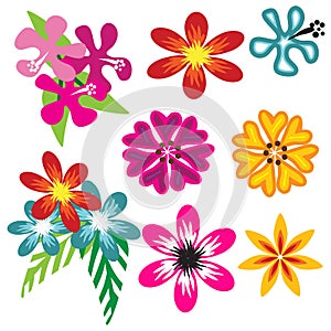 Colorful Hawaiian flower set