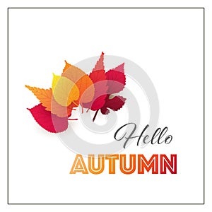 Colorful Hello Autumn Card Layout, Creative Design with Red and Golden Fallen Autumn Leaves - Multi Purpose Template, Typography