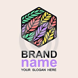 Colorful hexagon logo with multicolor bright leaves feathers.