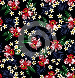 Colorful hibiscus pattern. photo