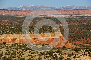 Colorful high desert