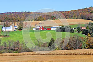 Colorful hills with farm and fields