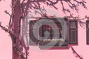 Colorful historic pink house with mullioned window photo