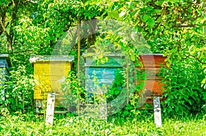 Colorful hives in traditional village